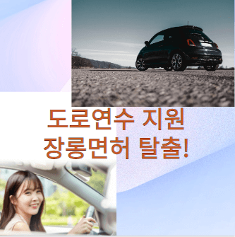 장롱면허 소지자 도로 연수
