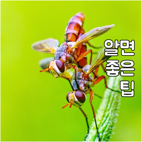 최신 2025 유교랜드 단체 요금 감..
