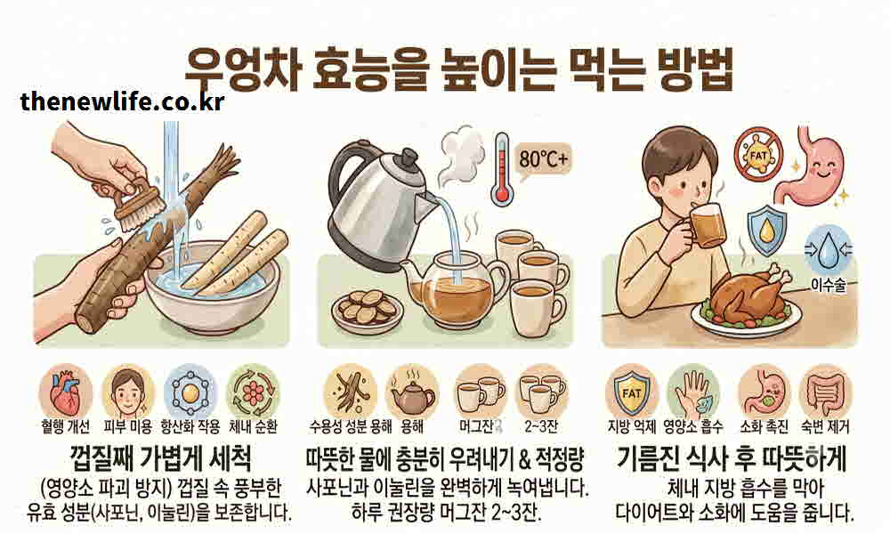 우엉차 효능 높이는 먹는 방법