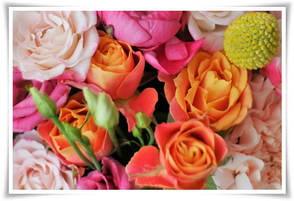 "라넌큘러스" 봄의 로맨스를 담은 매혹적인 매력의 꽃 봄의 요정!