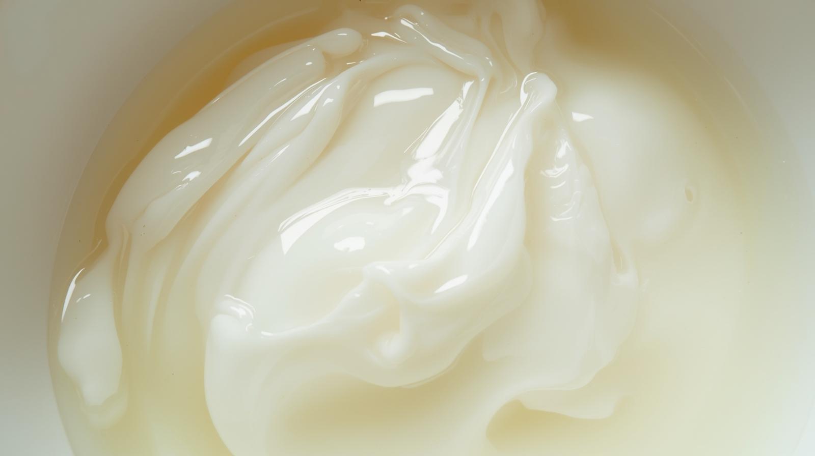 알부민 많은음식