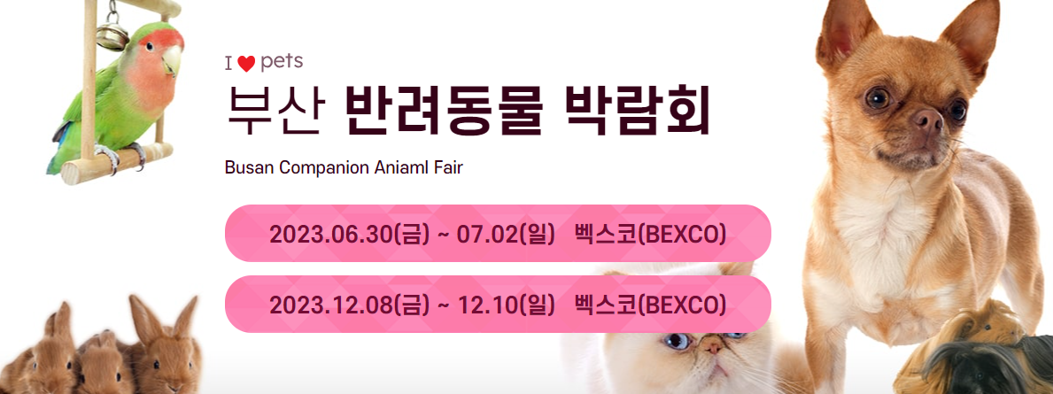 부산반려동물박람회