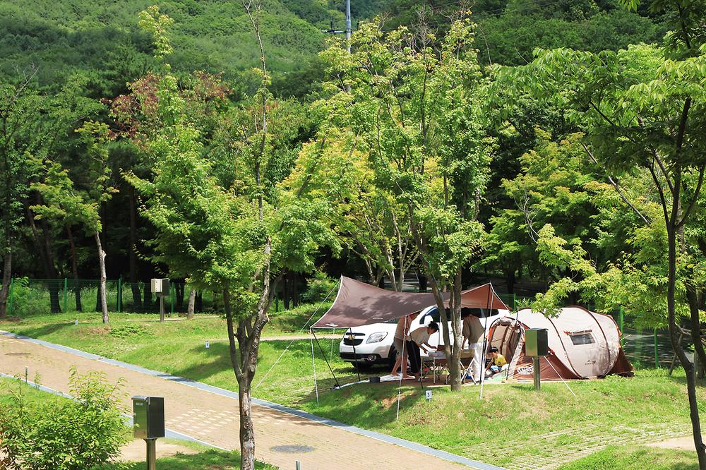 대구 팔공산 도학야영장 소개