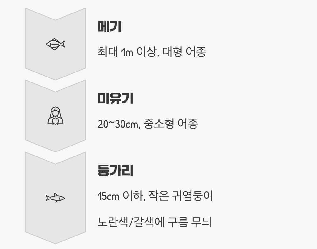 크기와 무늬&amp;#44; 또 다른 힌트