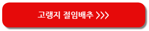 절임배추