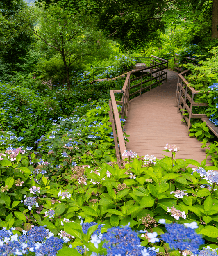 2025 화담숲 예약방법 총정리! 입장료&amp;#44; 모노레일&amp;#44; 교통&middot;주차&amp;#44; 할인 혜택
