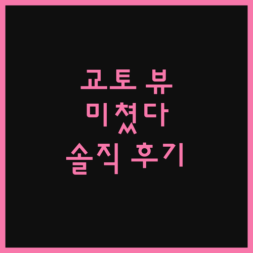 기요미즈데라 테라스, 교토역 호텔… 