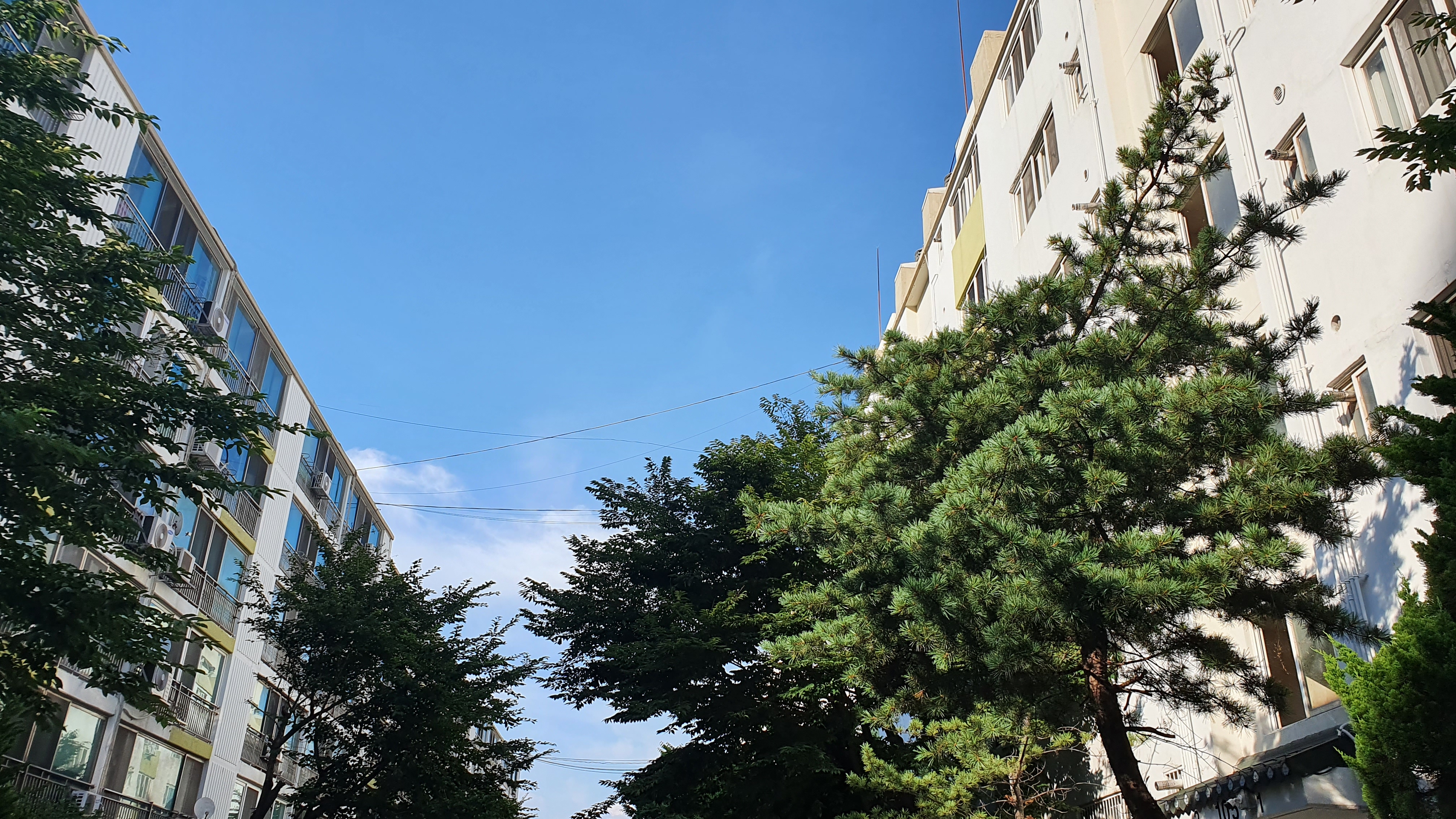 원흥아파트 조경