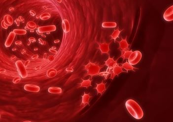 혈소판 수치가 높으면