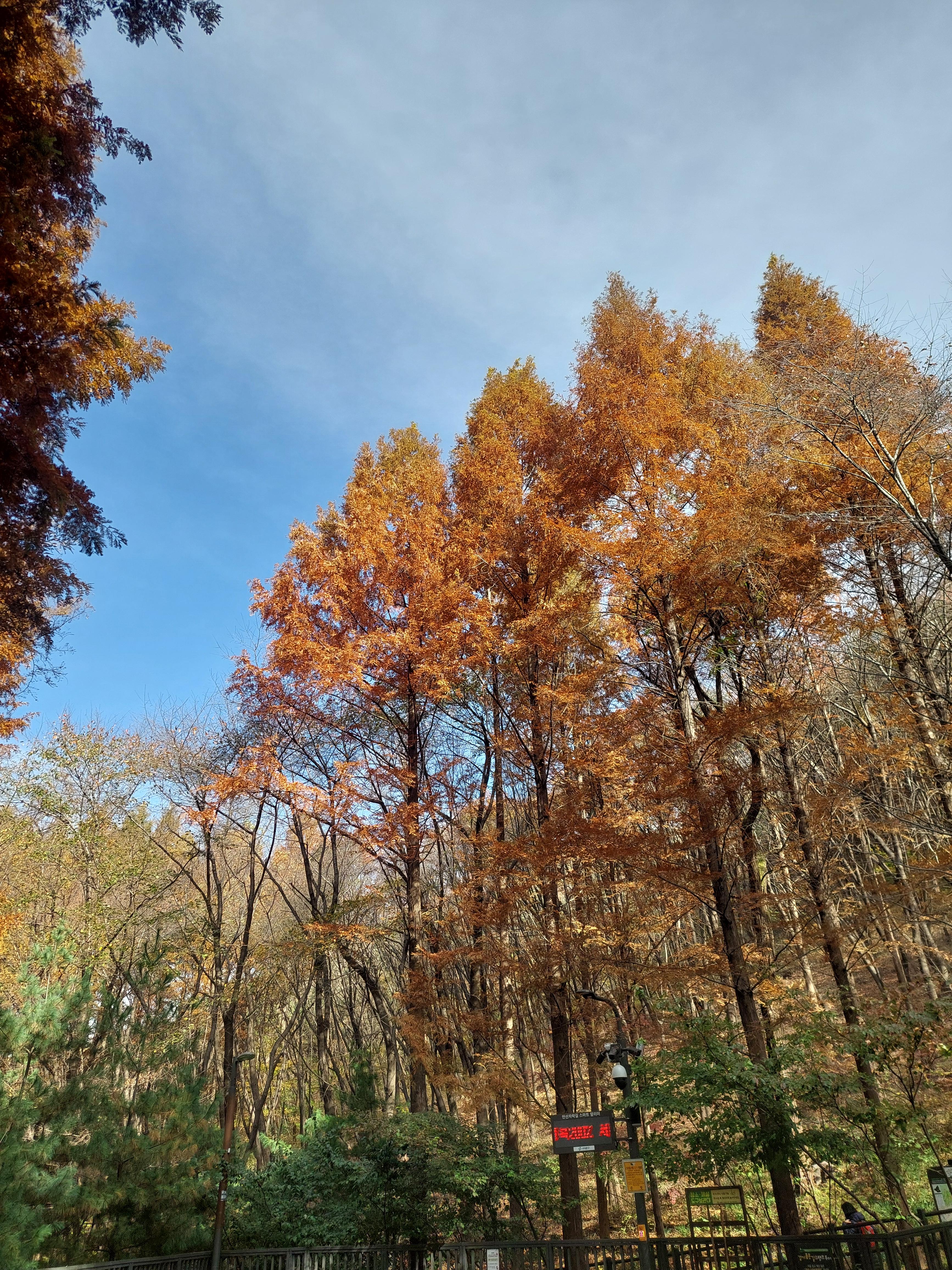 안산