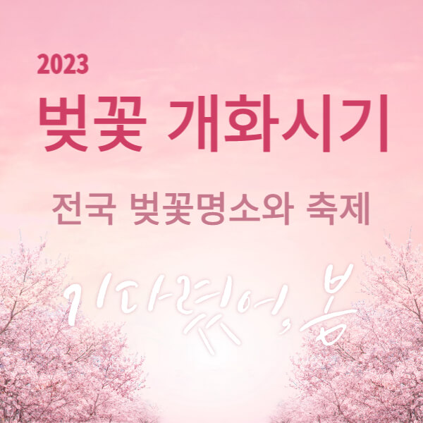 벚꽃 개화시기와 전국 벚꽃명소