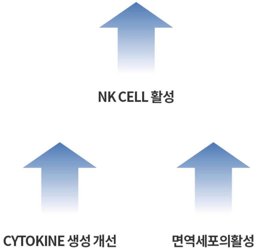 에터미-해모힘-효능-효과