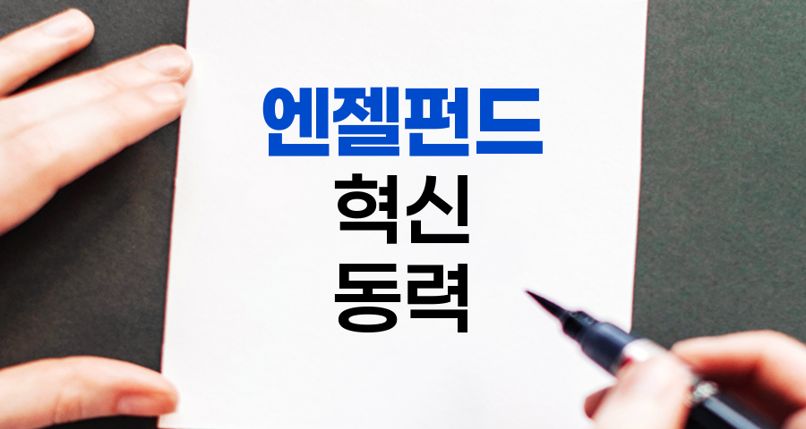 엔젤펀드, 혁신 기업의 성장 동력