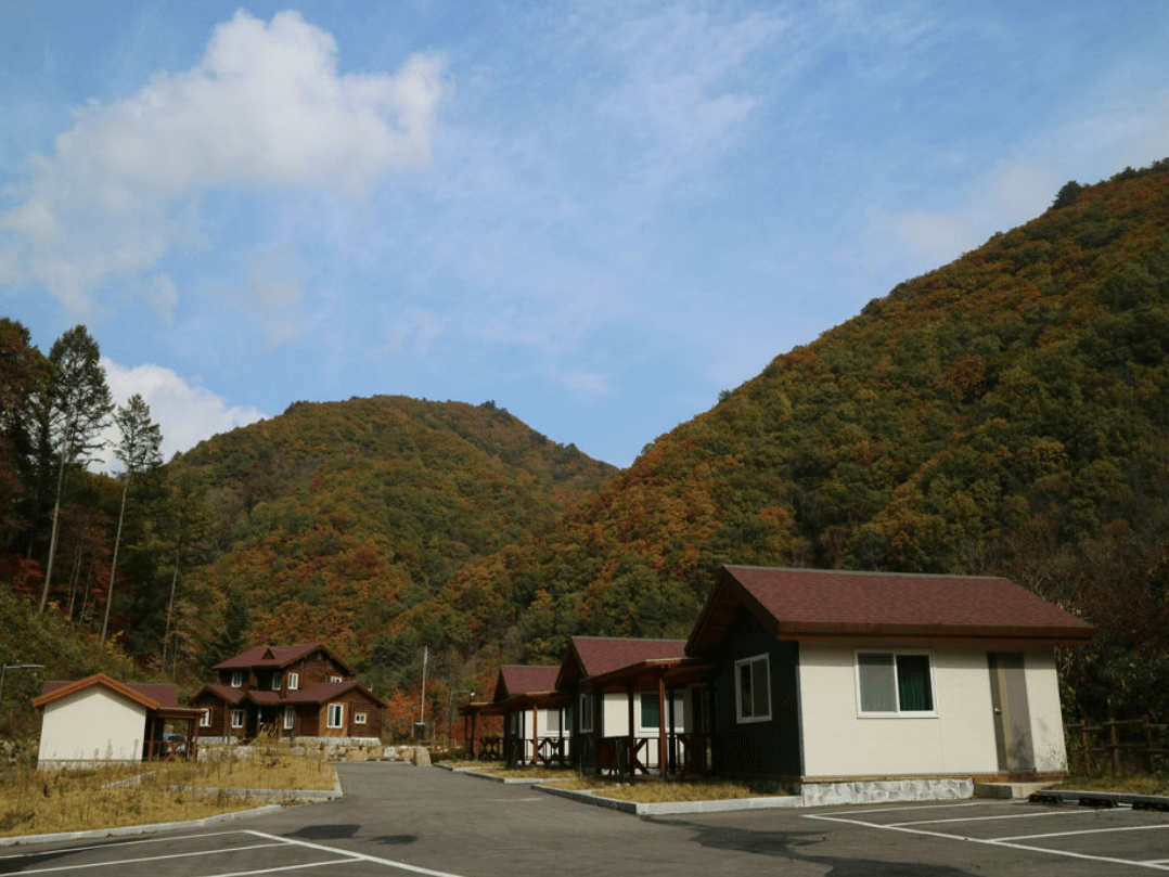 국립 용대자연휴양림