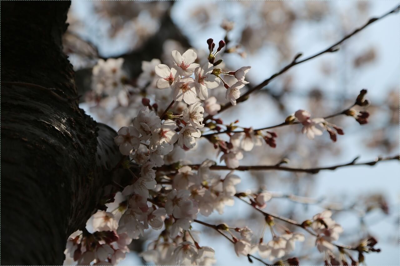 1억 은행 예금이자