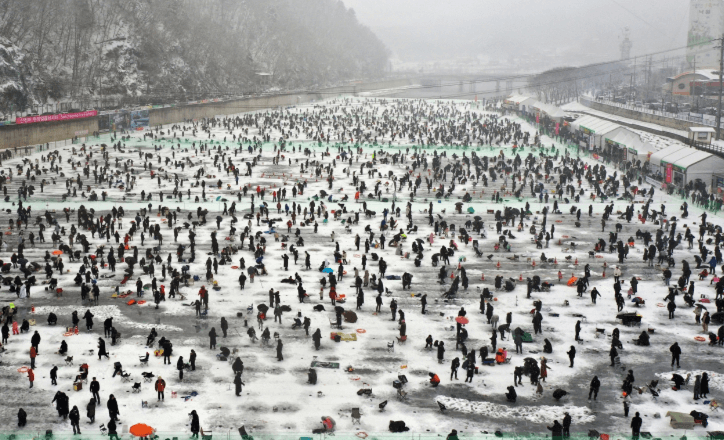 화천 산천어 축제