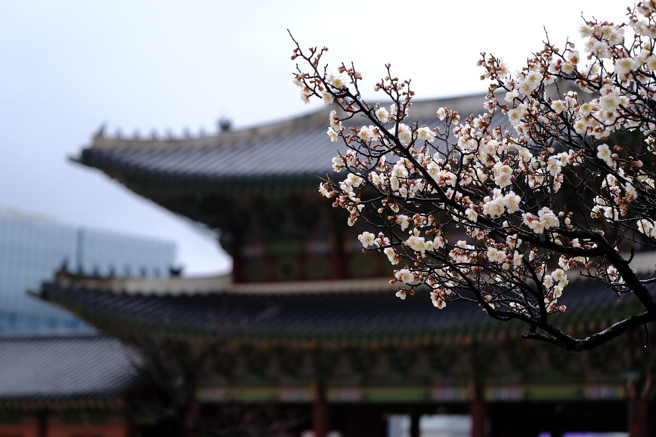 경복궁 교태전 내부 특별 개방! 놓치면 후회할 고궁 탐방 기회