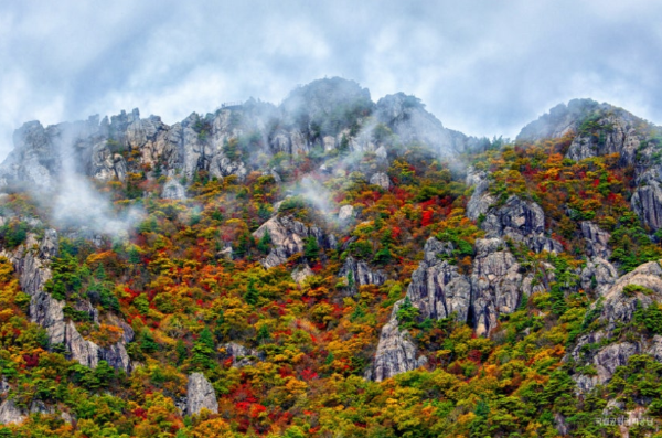 가야산 단풍 – 산책과 힐링이 있는 단풍길