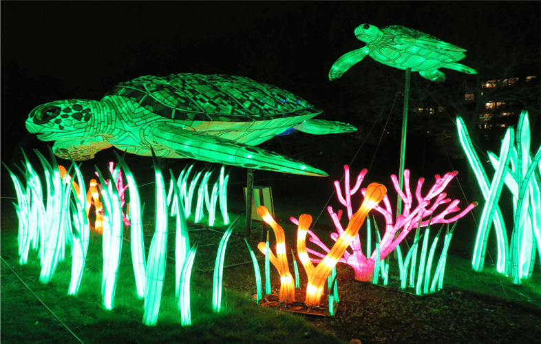 대전 세종 충청 4월 축제 일정 