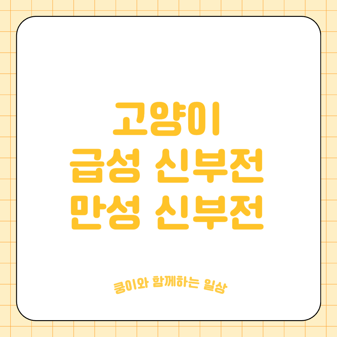 고양이 급성 및 만성 신부전 (Kidney Disease, Renal Failure)