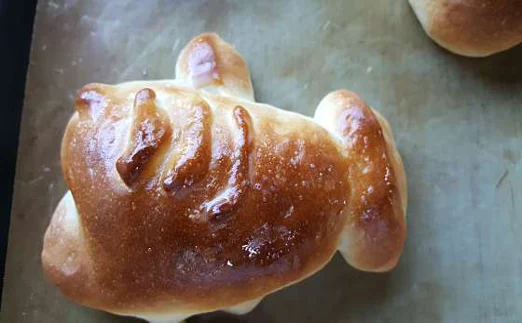 배누리교육농장 베이커리체험 동물체험 목공예 체험