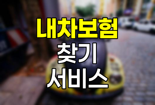 내 차 보험 찾기 온라인 서비스 활용법