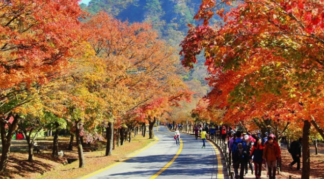 장안산 단풍 절정 시기와 추천 코스 best 3 ❘ 2025 가을 산행 명소