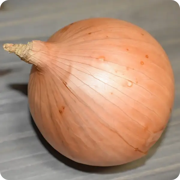 양파장아찌 담그는 법