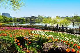 대전 가볼 만한 곳