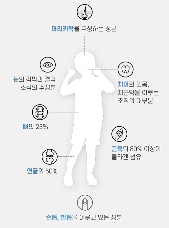 키크는 방법(2)