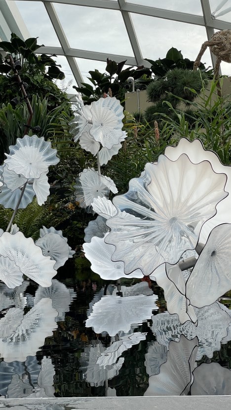 가든스 바이 더 베이 클라우드 포레스트