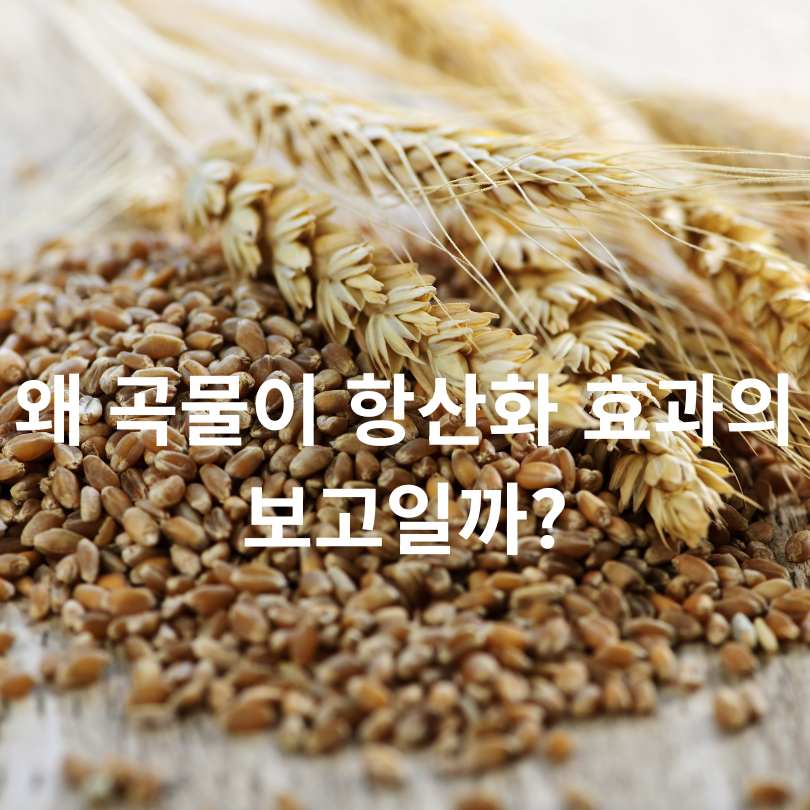 항산화 효과가 높은 곡물 BEST 6