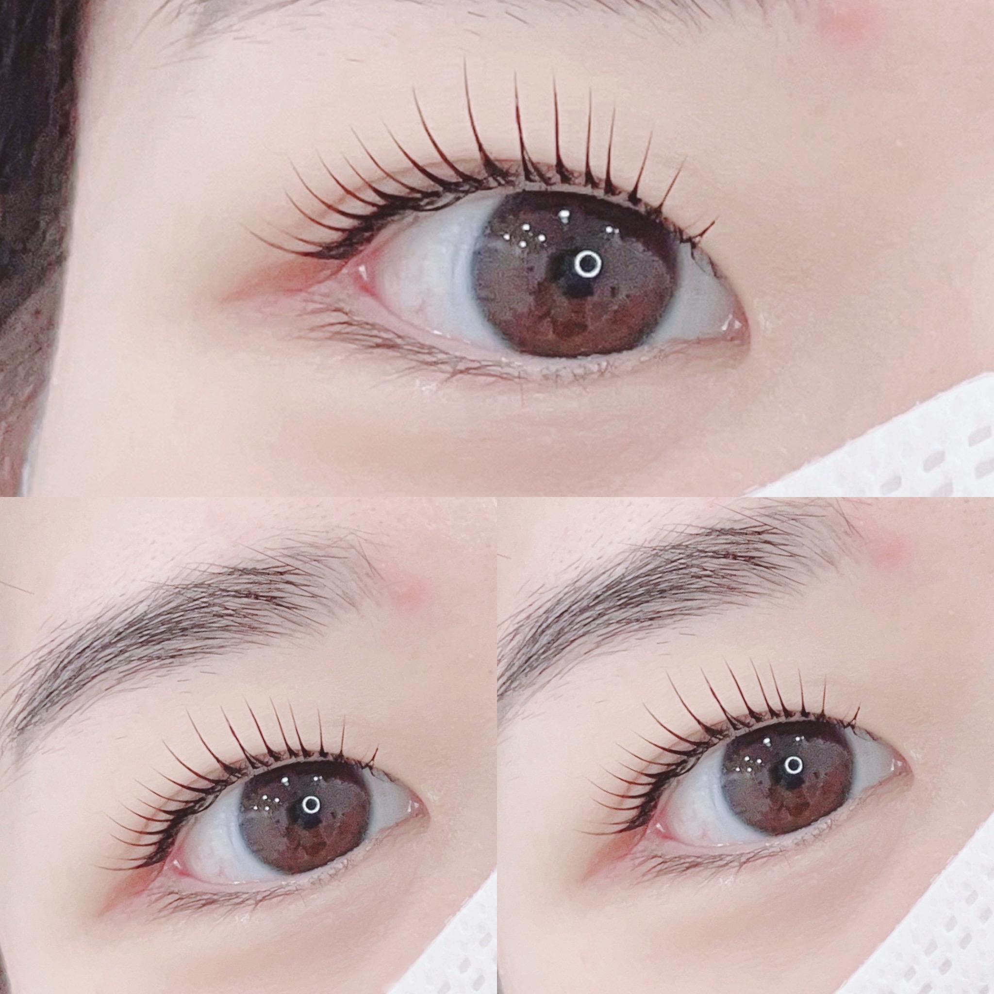 쏘옥눈썹