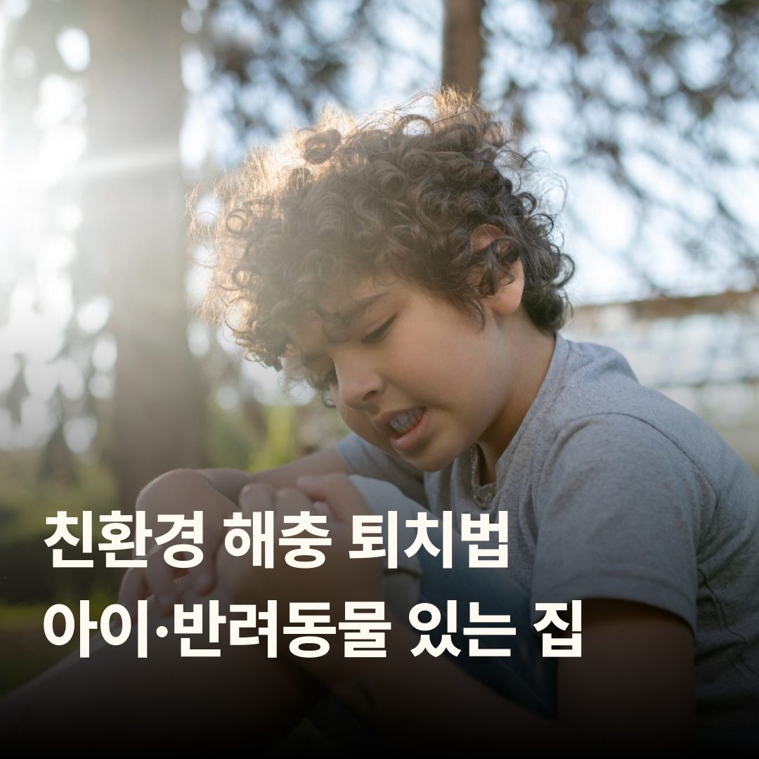 친환경 해충 퇴치법 – 아이·반려동물 있는 집 안전하게