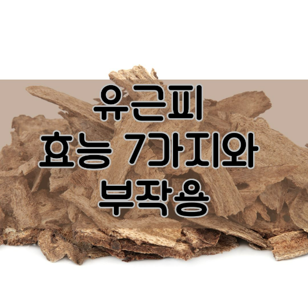 유근피 효능 7가지와 부작용