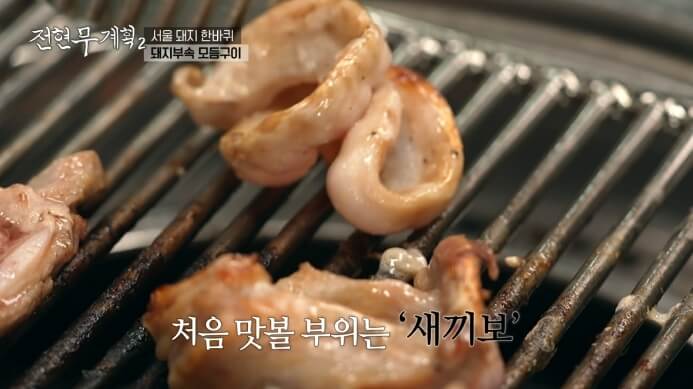 새끼보