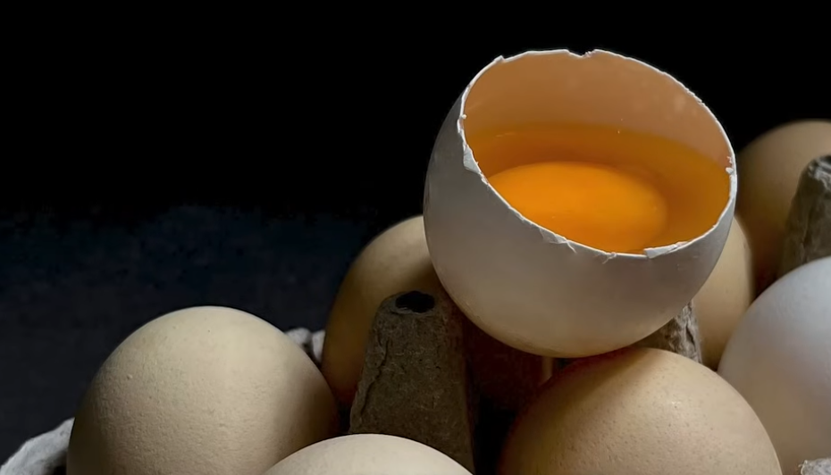 근막 재생과 근감소증 극복의 모든 것