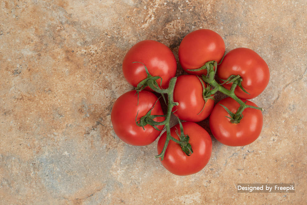 방울토마토 키우기