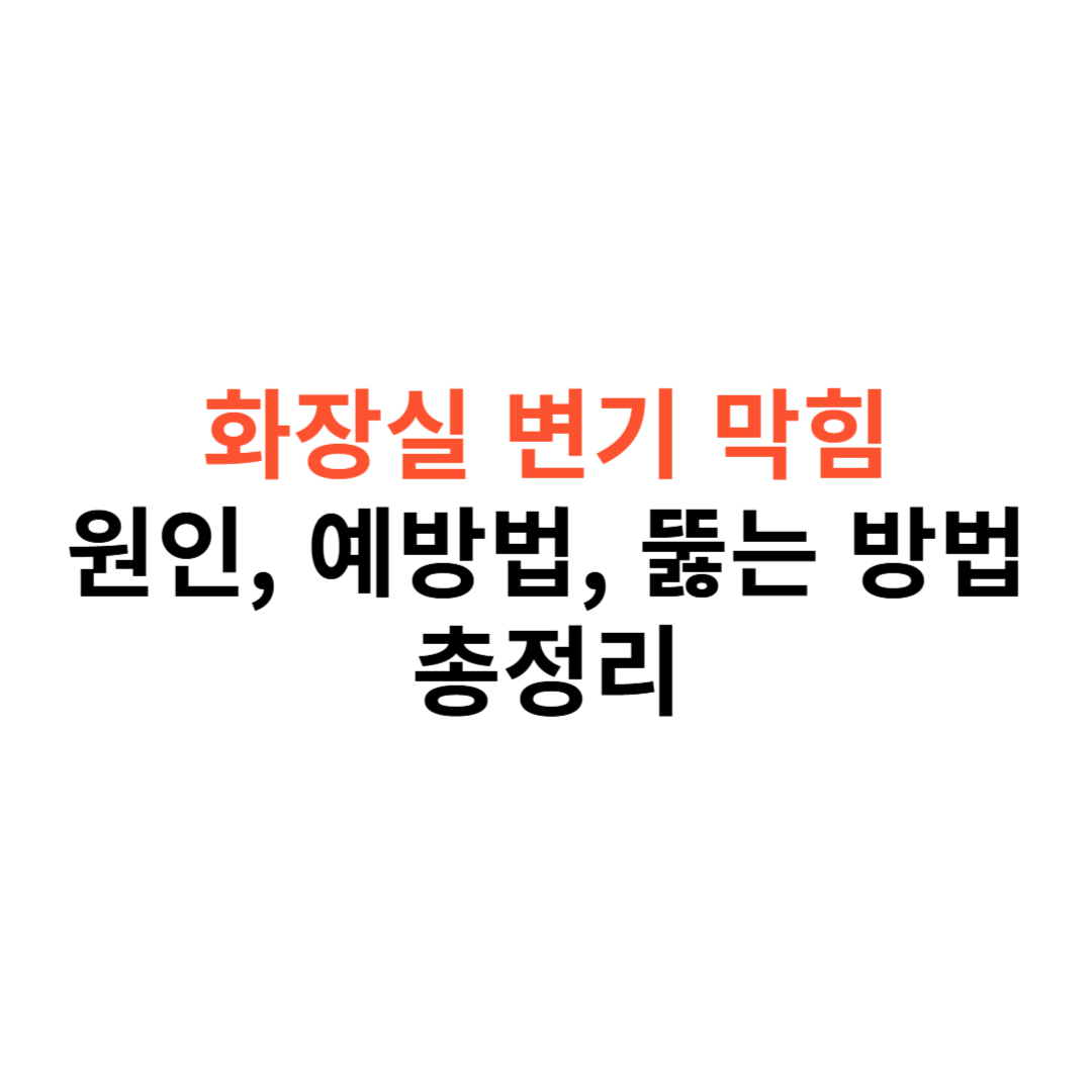 화장실 변기 막힘