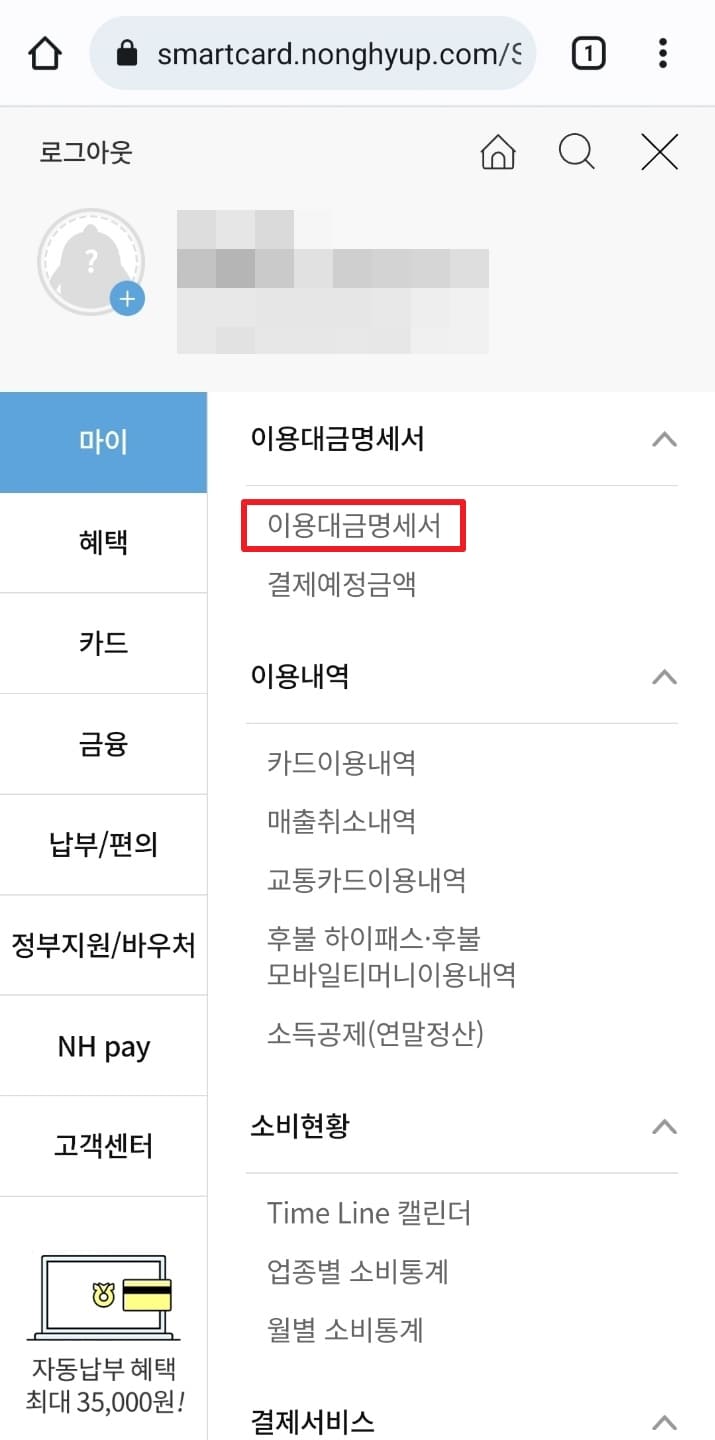 NH농협카드 카드 이용 내역 확인