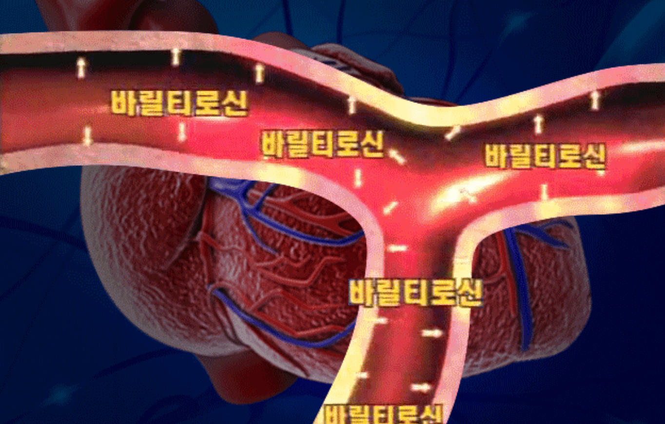 혈관-효과