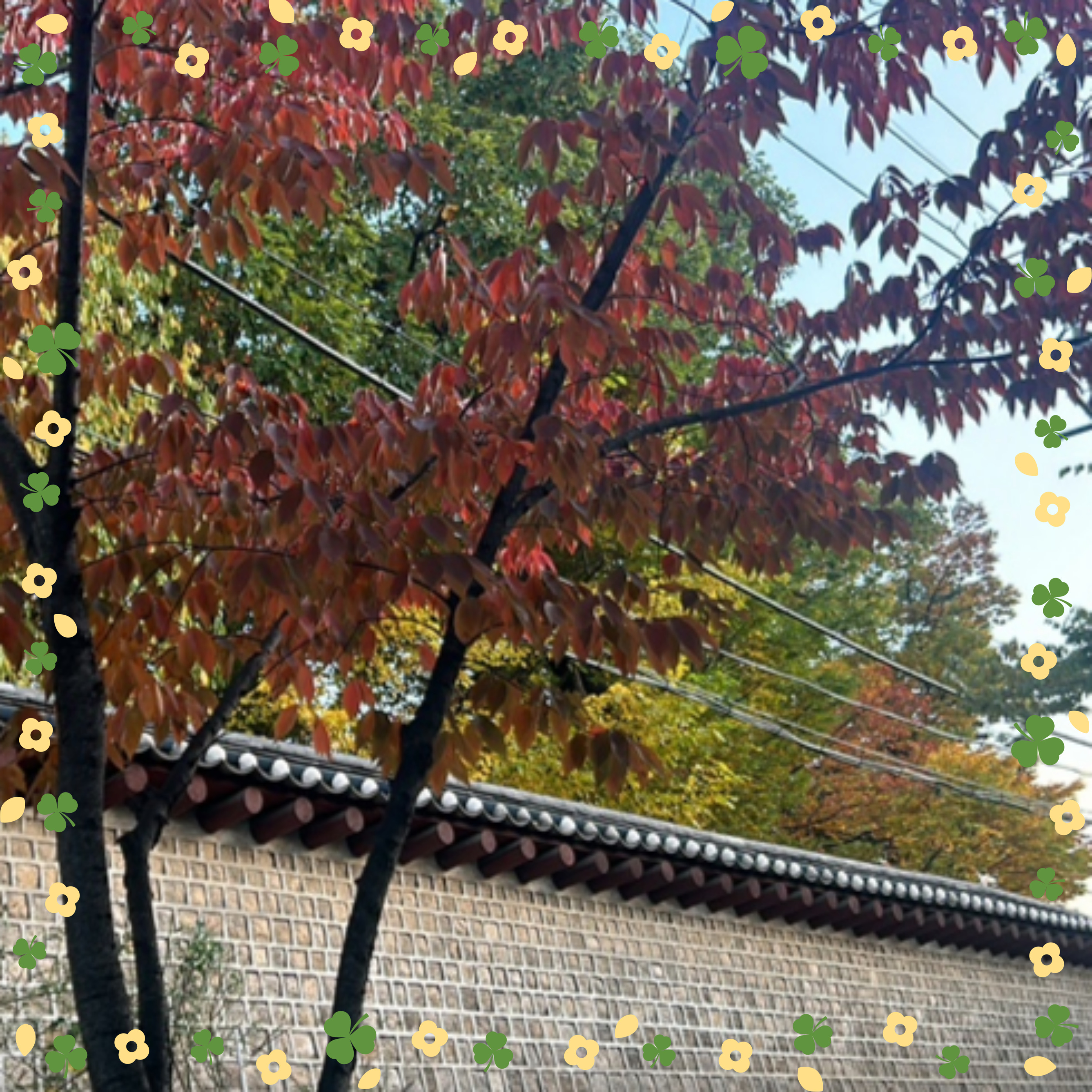 서울 핫플 서순라길