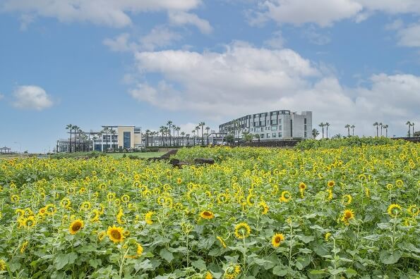 제주도 숙소 추천