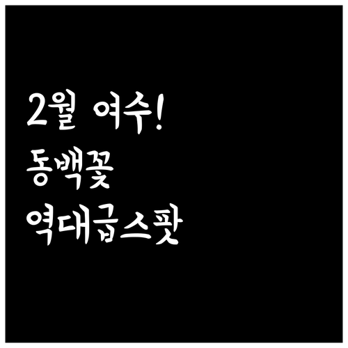 낭만 가득한 2월 여수 여행 동백꽃 ..