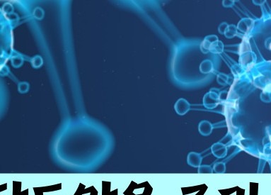 담도암 이란 / 담도암 증상