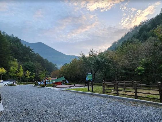 태백고원자연휴양림