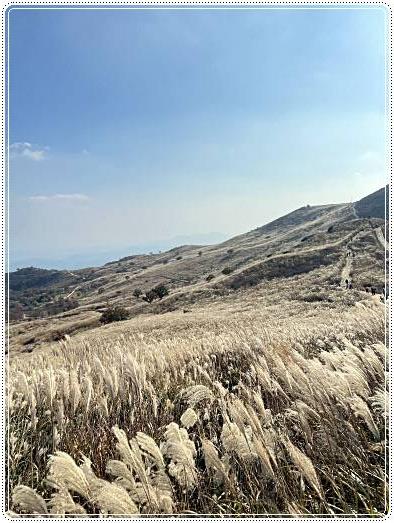 황매산-억새축제