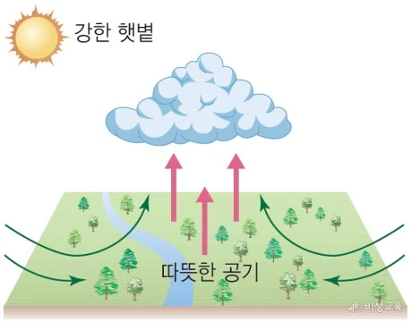 열대 우림 기후를 보여주는 이미지 입니다.