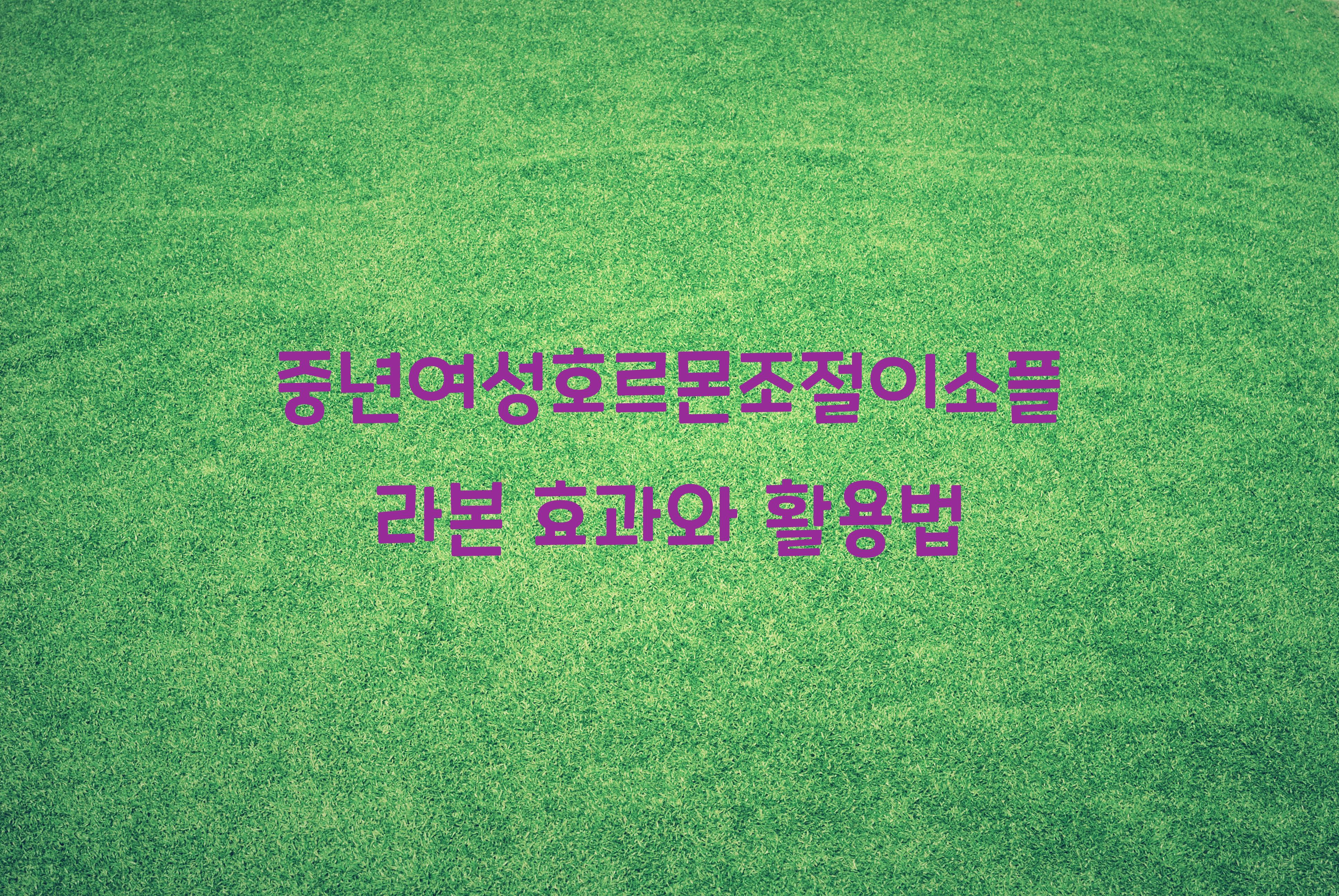 중년여성호르몬조절이소플라본