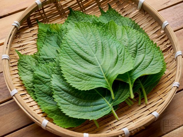 배가 차가울때 좋은 음식,따뜻한 성질 음식 깻잎,팁줌